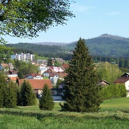 Haus Hochstein Aparthotel ไฮด์มูเลอ ภายนอก รูปภาพ